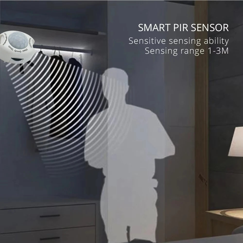 Detector de Movimiento para Iluminación Automática.